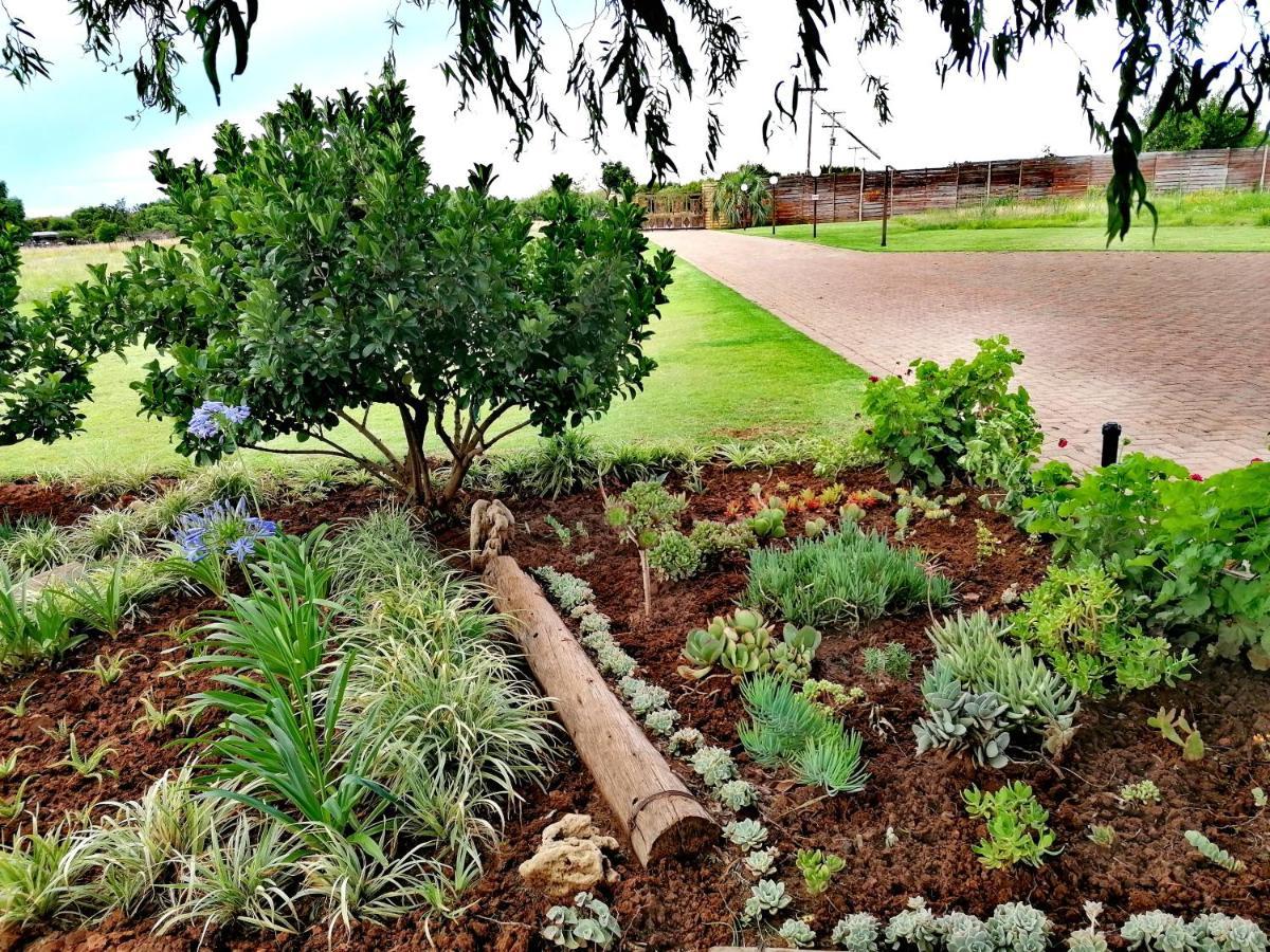 Safe Haven Guesthouse Bloemfontein Zewnętrze zdjęcie