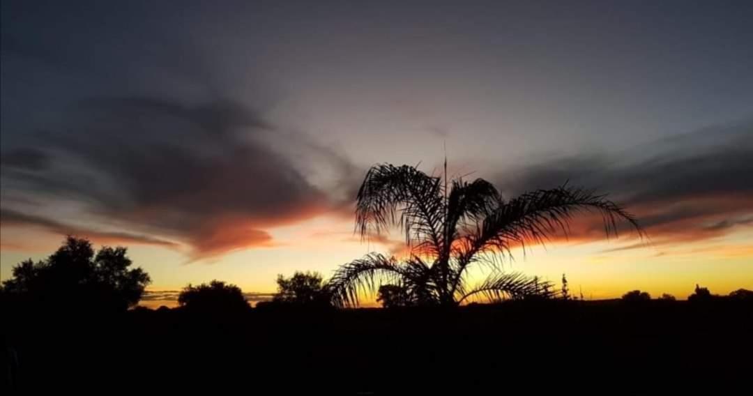 Safe Haven Guesthouse Bloemfontein Zewnętrze zdjęcie