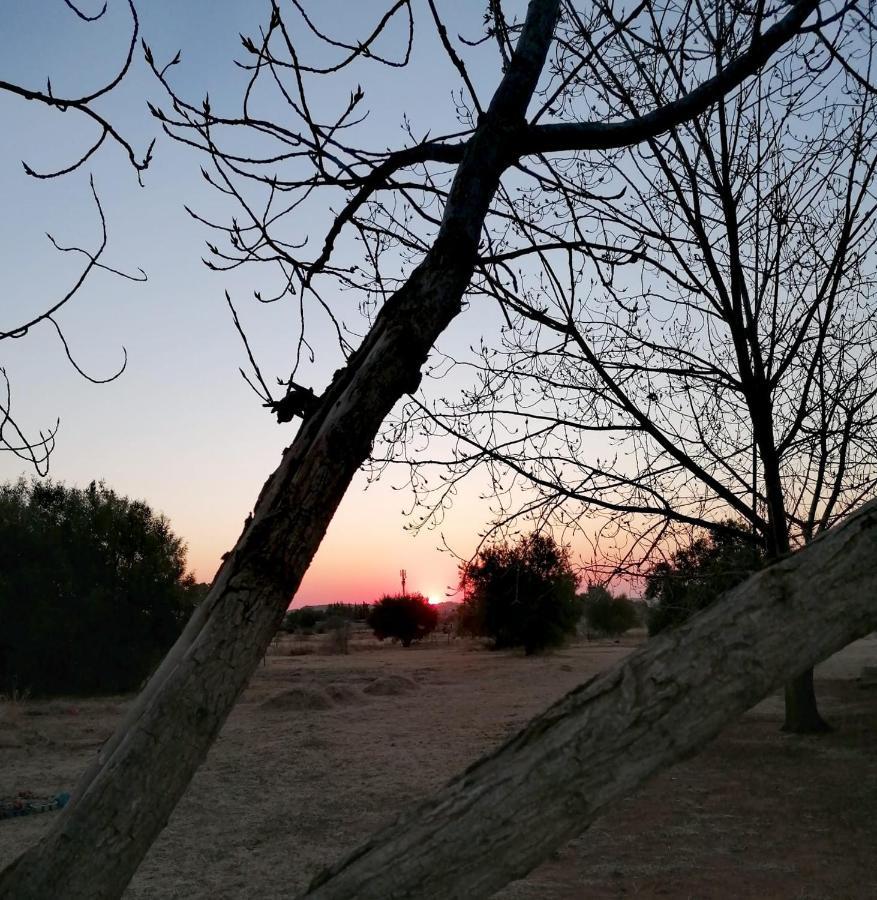Safe Haven Guesthouse Bloemfontein Zewnętrze zdjęcie
