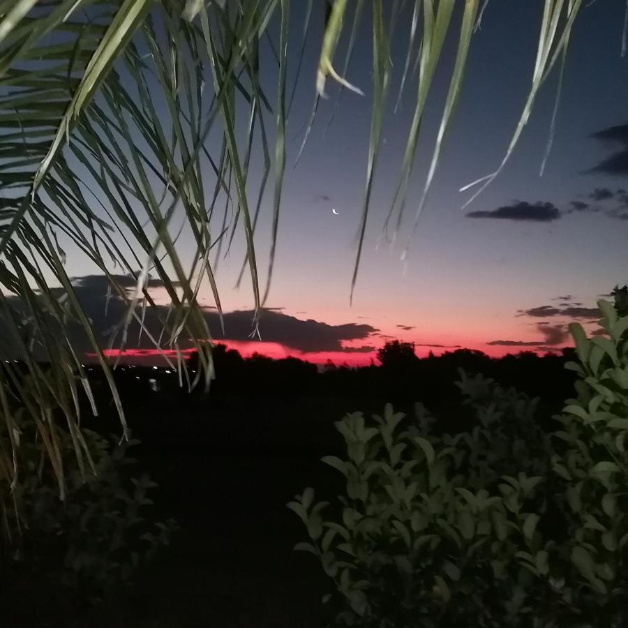 Safe Haven Guesthouse Bloemfontein Zewnętrze zdjęcie