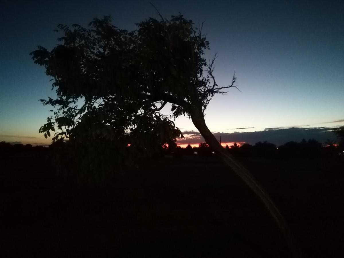 Safe Haven Guesthouse Bloemfontein Zewnętrze zdjęcie