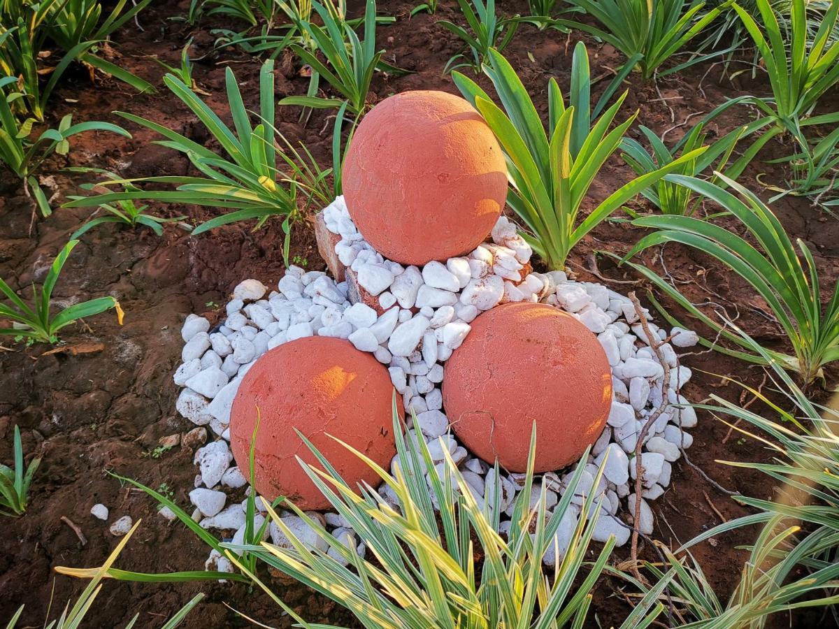 Safe Haven Guesthouse Bloemfontein Zewnętrze zdjęcie
