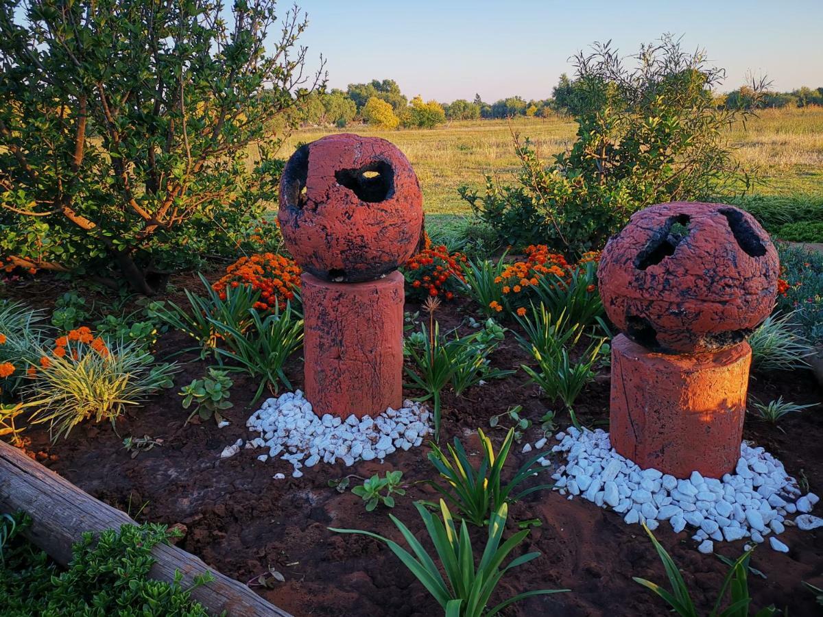 Safe Haven Guesthouse Bloemfontein Zewnętrze zdjęcie